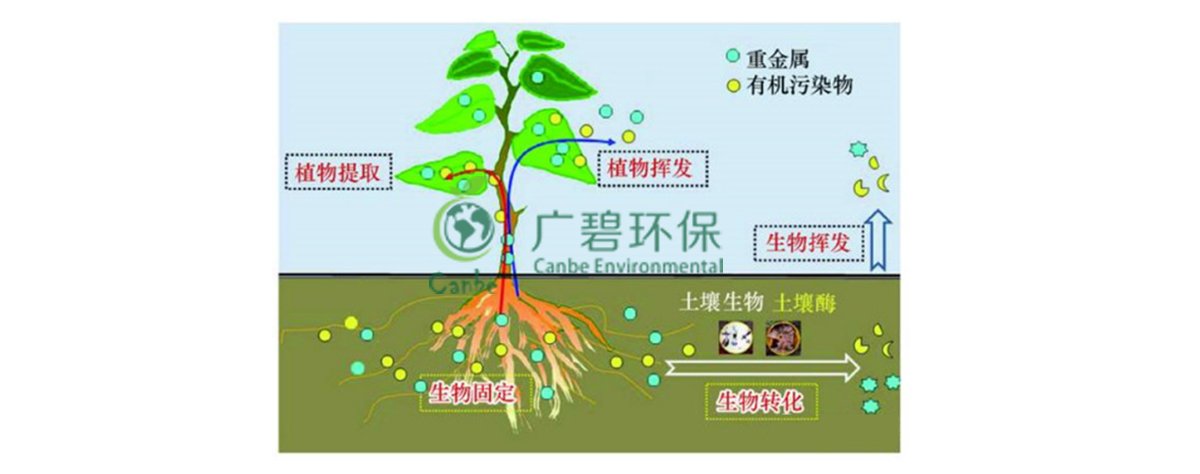 土壤污染防治基礎(chǔ)知識(圖3)