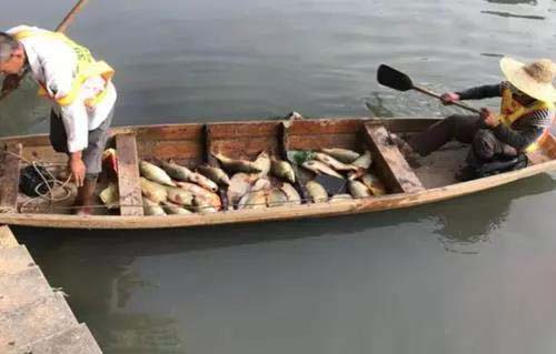 廣州旺旺食品廢水直排，永和河大量魚類死亡